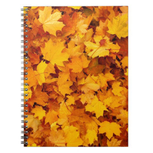 Autumn Yellow Maple Leaves Notebook