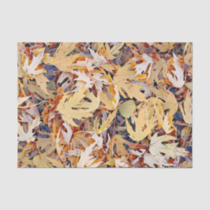 Autumn Yellow Painted Maple Leaves Tissue Paper