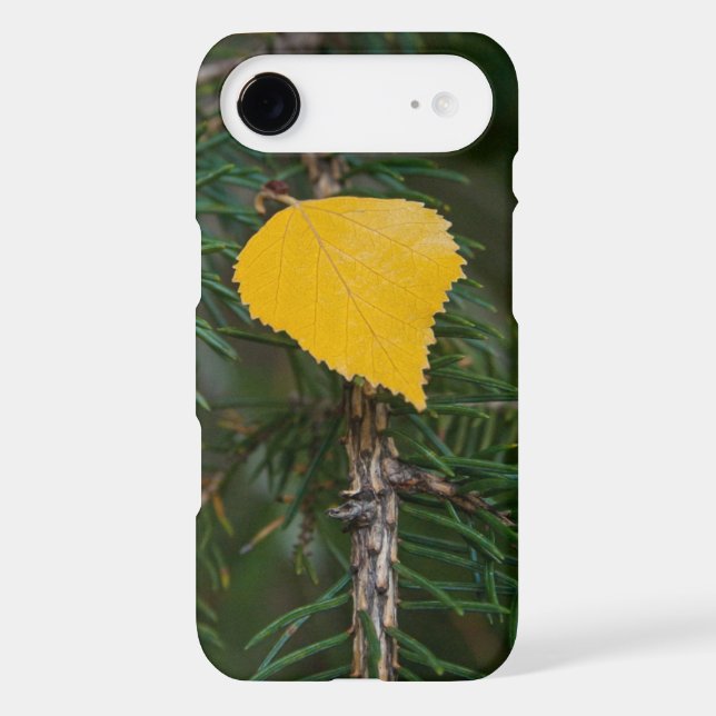 Autumn Yellow Quaking Aspen Leaf Photograph (Back)