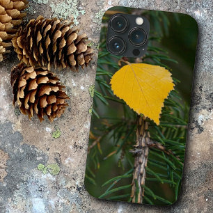 Autumn Yellow Quaking Aspen Leaf Photograph iPhone 13 Pro Max Case