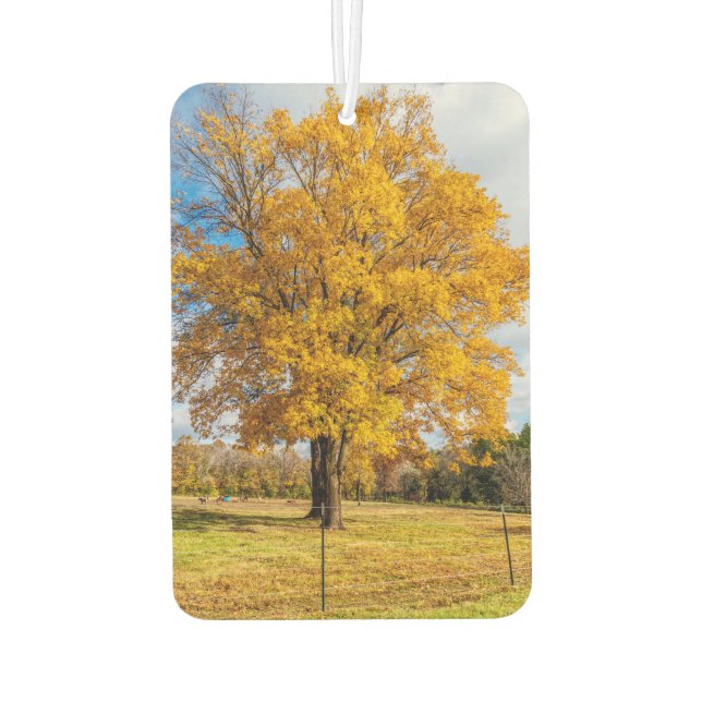 Autumn Yellow Sugar Maple Air Freshener (Back)