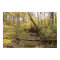 Autumn Yellow Trees at the Stream