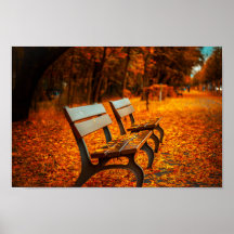Autumnal bench seating