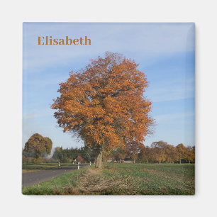autumnal coloured single tree in October  Magnet