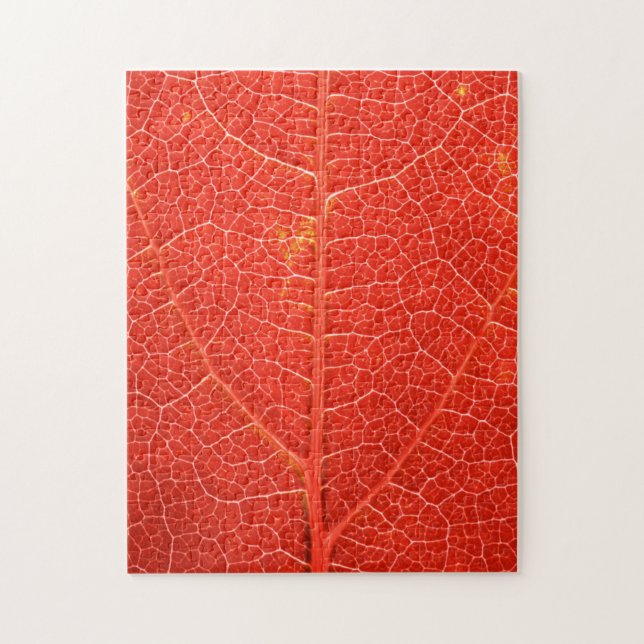 Autumnal Leaf Jigsaw Puzzle (Vertical)