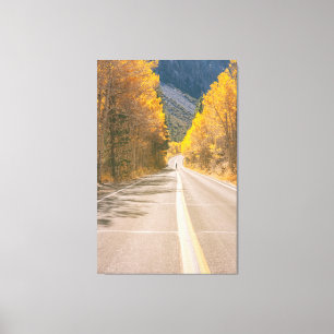 Autumnal Road Canvas Print