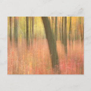 autumnal scenic abstract postcard