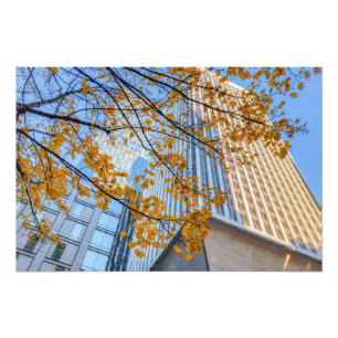 Autumnal Tree and Cityscape Skyline Photo Print