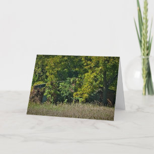 "Autumn's Blanket" Birthday Card