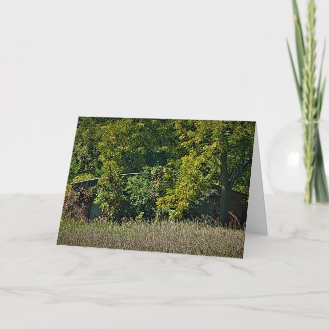 "Autumn's Blanket" Birthday Card (Front)