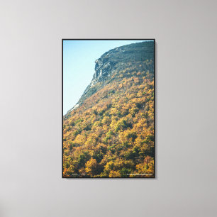 Autumn's Blanket Canvas Print