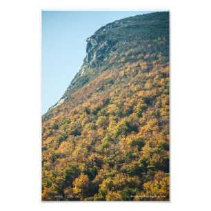 Autumn's Blanket Photo Print