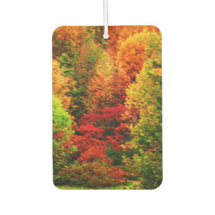 AUTUMNS GLORY AIR FRESHENER