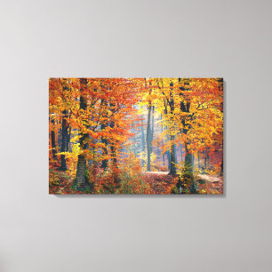 Autumn's Gorgeous Leaves Canvas Print