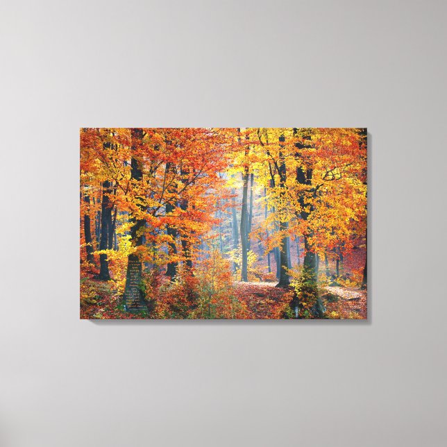 Autumn's Gorgeous Leaves Canvas Print (Front)