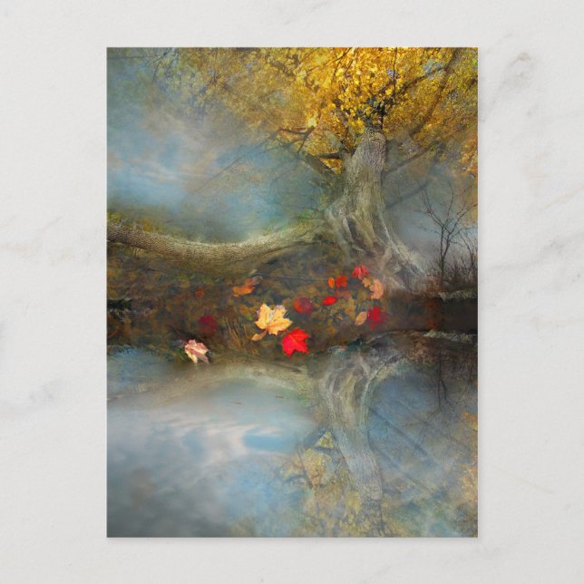 Autumns harvest ,postcard postcard (Front)