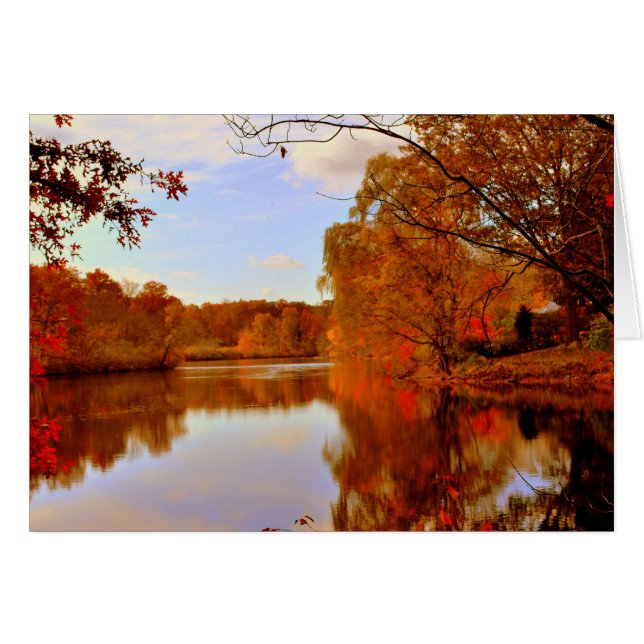 AUTUMNS ORANGE GLOW (Front Horizontal)