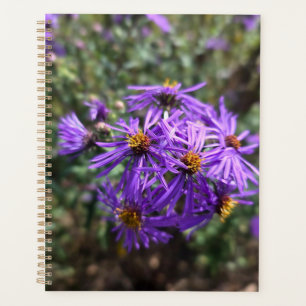 Autumn's Purple Glow Planner