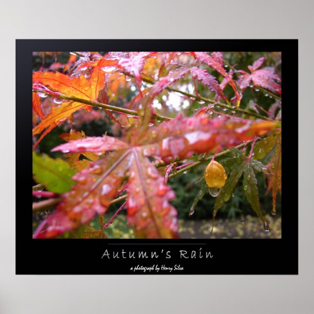Autumn's Rain Poster (Front)