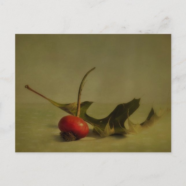 Autumns still life postcard (Front)