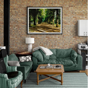 Autumn's Tree-Lined Tunnel Photo Print