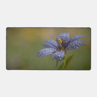 Aux yeux bleus brillants de rosée