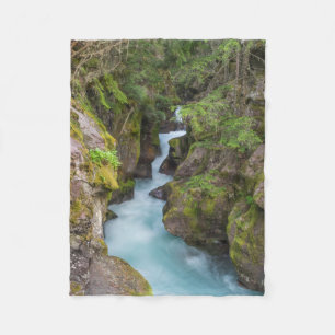 Avalanche Creek, Glacier National Park, Montana Fleece Blanket