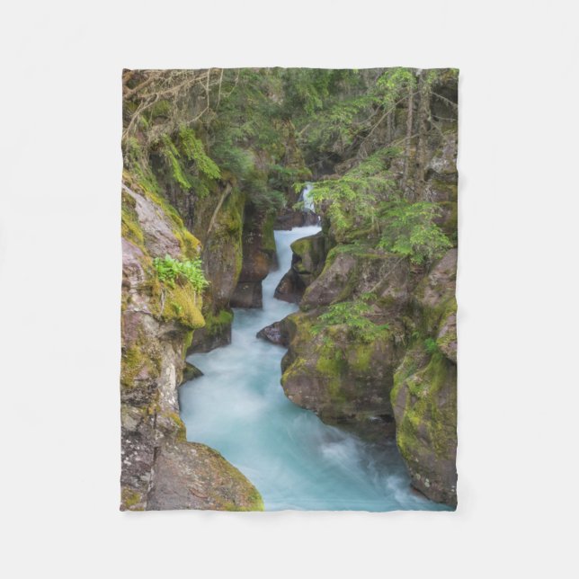 Avalanche Creek, Glacier National Park, Montana Fleece Blanket (Front)