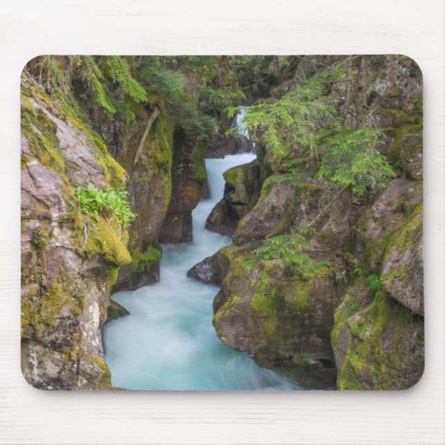 Avalanche Creek, Glacier National Park, Montana Mouse Pad (Front)