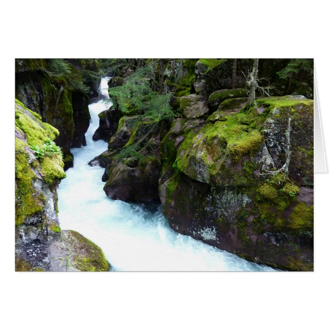 Avalanche Gorge I at Glacier National Park (Front Horizontal)