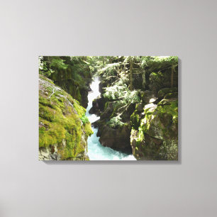 Avalanche Gorge II at Glacier National Park Canvas Print