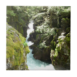 Avalanche Gorge II at Glacier National Park Tile