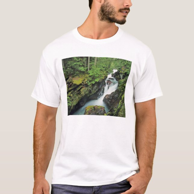 Avalanche Gorge in Glacier National Park in T-Shirt (Front)