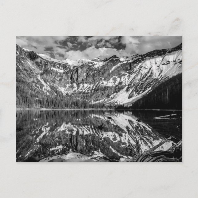 Avalanche Lake Glacier National Park Postcard (Front)
