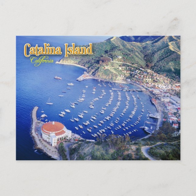 Avalon Bay, Catalina Island, California Postcard (Front)
