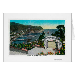 Avalon Bay from Wrigley's Gardens