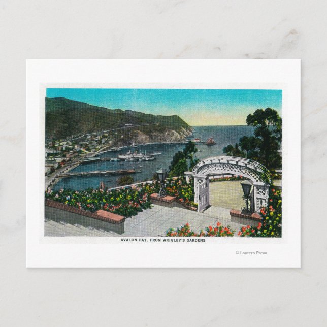 Avalon Bay from Wrigley's Gardens Postcard (Front)