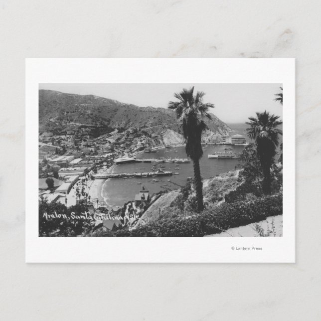Avalon, CA Santa Catalina Island View of Harbour Postcard (Front)