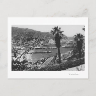 Avalon, CA Santa Catalina Island View of Harbour Postcard