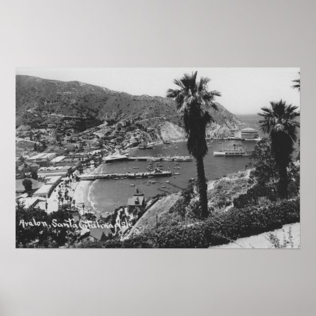 Avalon, CA Santa Catalina Island View of Harbour Poster (Front)