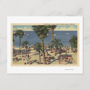 Avalon View of Beach w/ Sunbathers Postcard