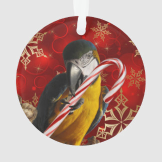 Avant et dos faits sur commande d'ornement de