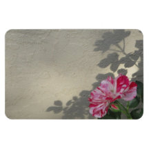 Avant-garde Rose and Shadow