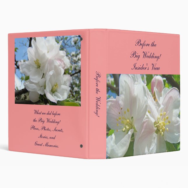 Avant le Grand Mariage ! Classeurs de vue de l'ini (Arrière-plan)