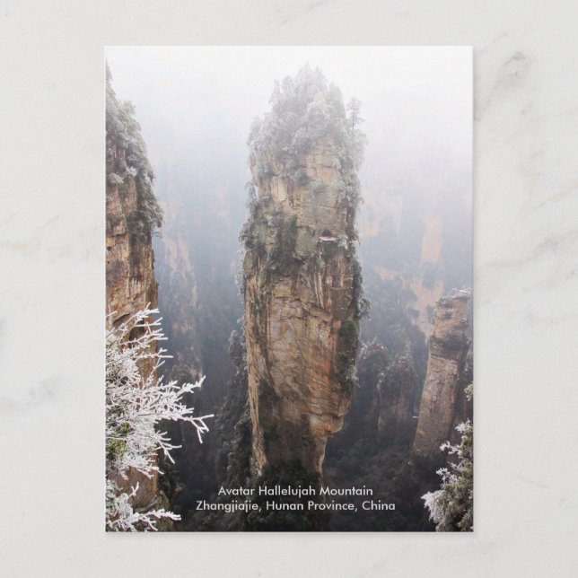 Avatar Hallelujah Mountain, Zhangjiajie, China Postcard (Front)