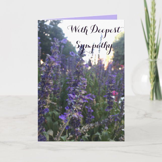 Avec carte Sympathy (Devant)