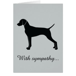 Avec la sympathie : Perte d'un Vizsla