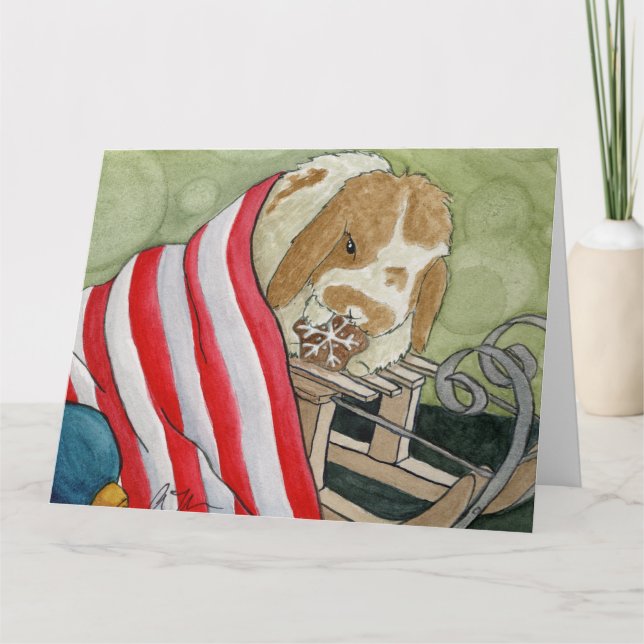 Aventures de noix de coco : Carte de décembre 8,5" (Devant)