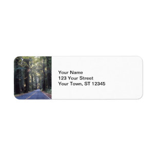 Avenue des géants - Humboldt Redwoods State Park