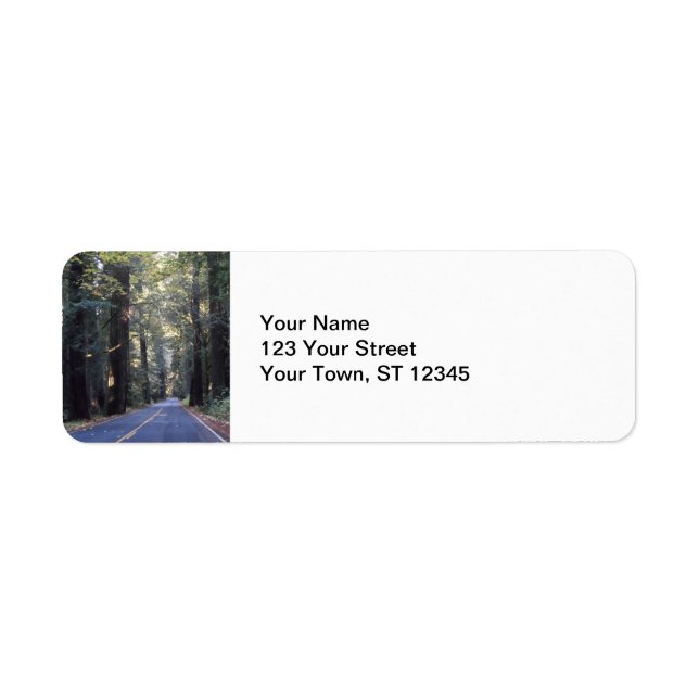 Avenue des géants - Humboldt Redwoods State Park (Devant)
